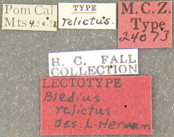 Media type: image;   Entomology 24073 Aspect: labels